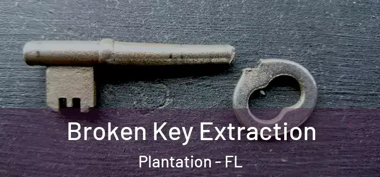 Broken Key Extraction Plantation - FL