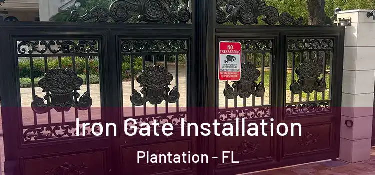 Iron Gate Installation Plantation - FL